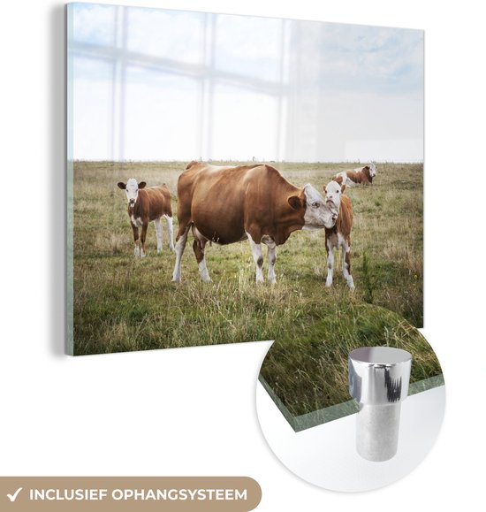 MuchoWow® Peinture sur verre 160x120 cm - Peinture sur verre acrylique - Vache - Veau - Herbe - Photo sur verre - Peintures