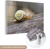 Peinture sur Verre - Escargot - Arbre - Bois - 120x80 cm - Peintures sur Verre Acrylique - Photo sur Glas
