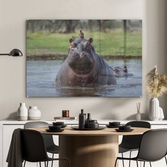 MuchoWow® Glasschilderij 120x80 cm - Schilderij acrylglas - Nijlpaard - Vogel - Water - Foto op glas - Schilderijen