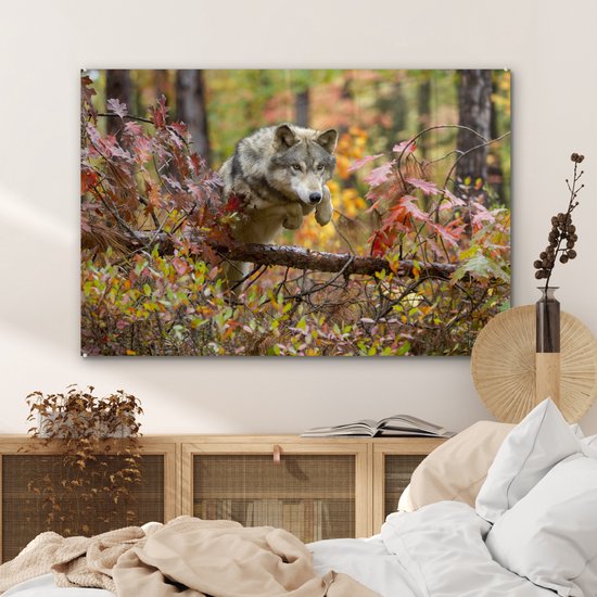 Peinture sur verre - Loup - Branche - Forêt - 120x80 cm - Peintures Plexiglas