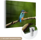 MuchoWow® Glasschilderij 180x120 cm - Schilderij acrylglas - Sri Lanka - Wild - IJsvogel - Foto op glas - Schilderijen