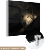 Peintures en plexiglas - Loup - Sombre - Clair - 90x90 cm