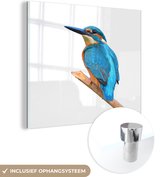 MuchoWow® Glasschilderij 20x20 cm - Schilderij acrylglas - IJsvogel - Takken - Wit - Foto op glas - Schilderijen