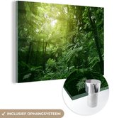 Peinture sur Verre - Jungle - Plantes - Feuilles - 120x80 cm - Peintures sur Verre Peintures - Photo sur Glas