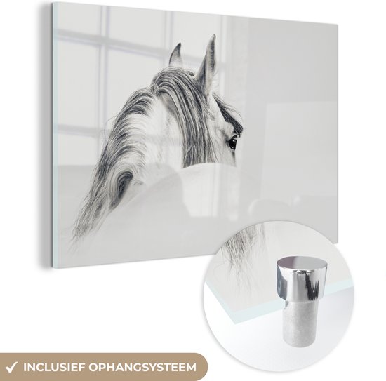 MuchoWow® Glasschilderij 150x100 cm - Schilderij acrylglas - Paard - Wit - Grijs - Foto op glas - Schilderijen