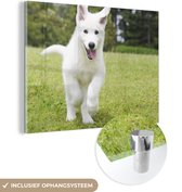 MuchoWow® Glasschilderij 160x120 cm - Schilderij acrylglas - Een witte Duitse Herder puppy - Foto op glas - Schilderijen