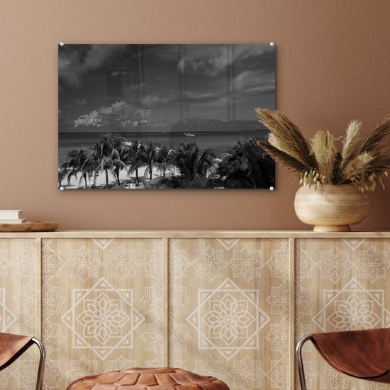 MuchoWow® Peinture sur verre - Aruba - Palmier - Zwart - Wit - 60x40 cm - Peintures sur verre acrylique - Photo sur Glas