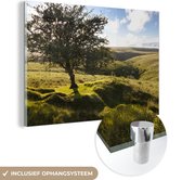 MuchoWow® Glasschilderij 90x60 cm - Schilderij acrylglas - Eenzame Haagdoornboom in het Nationaal park Exmoor in Engeland - Foto op glas - Schilderijen