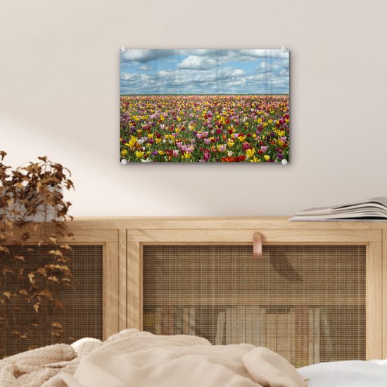 Champs de tulipes en Glas Oregon 30x20 cm - petit - Tirage photo sur Glas (décoration murale en plexiglas)