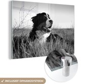 MuchoWow® Glasschilderij 90x60 cm - Schilderij acrylglas - Berner Sennenhond ligt in het gras - zwart wit - Foto op glas - Schilderijen