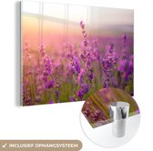 Peinture sur Verre - Lavande - Printemps - Violet - 60x40 cm - Peintures Plexiglas
