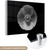 MuchoWow® Peinture sur verre 180x120 cm - Peinture sur verre acrylique - Printemps - Coquelicot - Zwart - blanc - Photo sur verre - Peintures