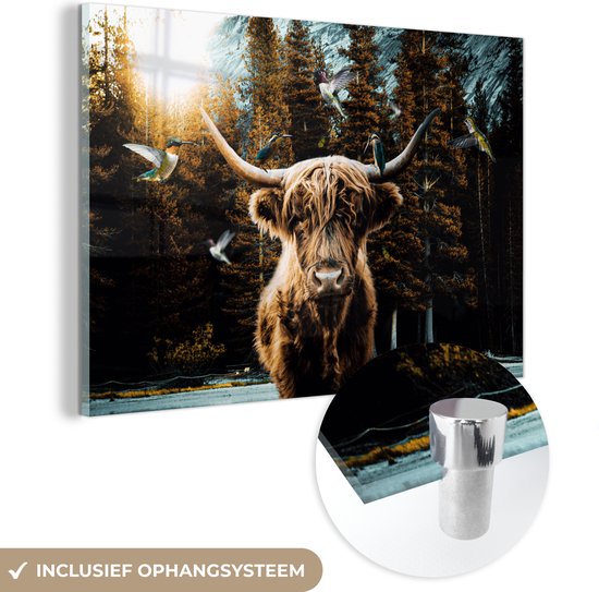 Glasschilderij Schotse hooglander - Dieren - Vogel - Natuur - Bruin - Glasschilderijen - Glasplaat - Woonkamer decoratie - Foto op glas - Glas schilderij - 90x60 cm - Kamer decoratie