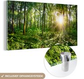 MuchoWow® Glasschilderij 80x40 cm - Schilderij acrylglas - Bos - Zon - Lente - Foto op glas - Schilderijen