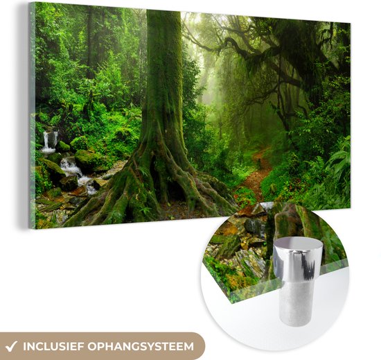 MuchoWow® Glasschilderij 120x60 cm - Schilderij acrylglas - Jungle - Groen - Azië - Foto op glas - Schilderijen