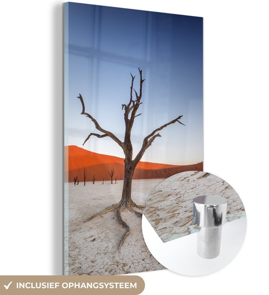 MuchoWow® Glasschilderij 20x30 cm - Schilderij acrylglas - Camelthorn boom tijdens een zonsondergang Namib-Naukluft National Park in Namibie - Foto op glas - Schilderijen