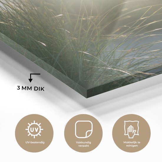 Peinture sur Verre - Plage - Dune - Soleil - 60x40 cm - Peintures sur Verre Peintures - Photo sur Glas