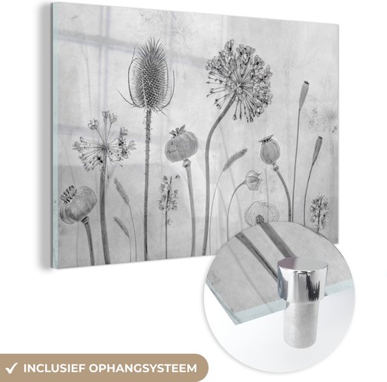 MuchoWow® Glasschilderij 30x20 cm - Schilderij acrylglas - Stilleven - Zwart - Wit - Olieverf - Foto op glas - Schilderijen