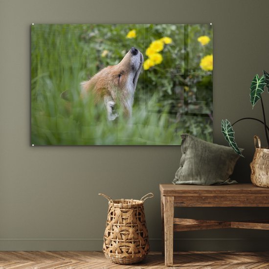 MuchoWow® Peinture sur Verre - Renard - Fleurs - Jaune - 90x60 cm - Peintures sur Verre Acrylique - Photo sur Glas