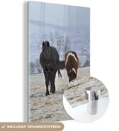MuchoWow® Glasschilderij 100x150 cm - Schilderij acrylglas - Paarden - Sneeuw - Wit - Foto op glas - Schilderijen
