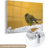 MuchoWow® Glasschilderij 90x60 cm - Schilderij acrylglas - Een donkere vink op een gele achtergrond - Foto op glas - Schilderijen