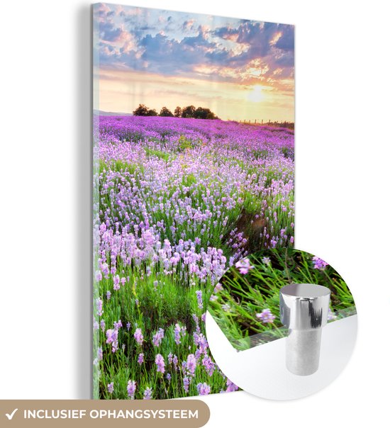 MuchoWow® Glasschilderij 100x150 cm - Schilderij acrylglas - Bloemen - Lavendel - Paars - Lucht - Zonsondergang - Weide - Natuur - Foto op glas - Schilderijen