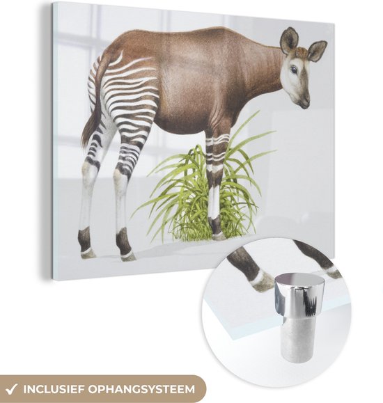 MuchoWow® Glasschilderij 120x90 cm - Schilderij acrylglas - Illustratie van een Okapi - Foto op glas - Schilderijen