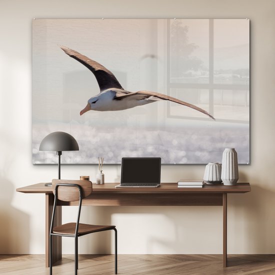 MuchoWow® Peinture sur verre 150x100 cm - Peinture sur verre acrylique - Albatros - Zwart - Vogel - Photo sur verre - Peintures
