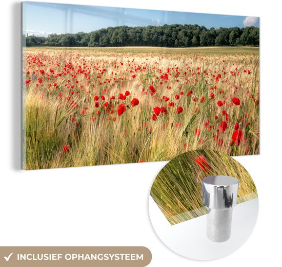 MuchoWow® Glasschilderij 80x40 cm - Schilderij acrylglas - Wilde Klaprozen in een groot veld - Foto op glas - Schilderijen