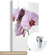 MuchoWow® Glasschilderij 60x90 cm - Schilderij acrylglas - Roze orchideebloem - Foto op glas - Schilderijen