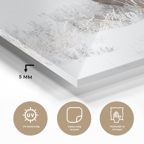 MuchoWow® Peinture sur Verre - Cerf - Hiver - Neige - Animaux - Saisons - Wit - 90x90 cm - Peintures sur Verre Acrylique - Photo sur Glas