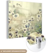 MuchoWow® Glasschilderij 50x50 cm - Schilderij acrylglas - Bloemen - Veld - Wit - Foto op glas - Schilderijen