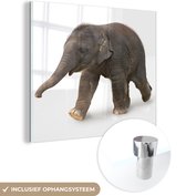 MuchoWow® Glasschilderij 50x50 cm - Schilderij acrylglas - Kleine olifant tegen witte achtergrond - Foto op glas - Schilderijen
