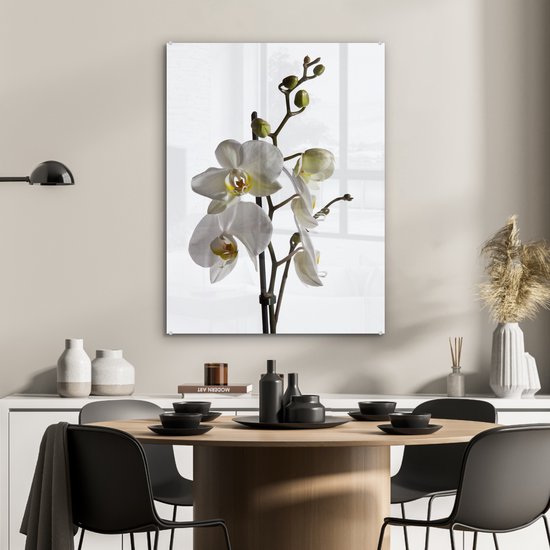 Peinture sur Verre - Orchidée Witte - 60x80 cm - Peintures sur Verre Peintures - Photo sur Glas