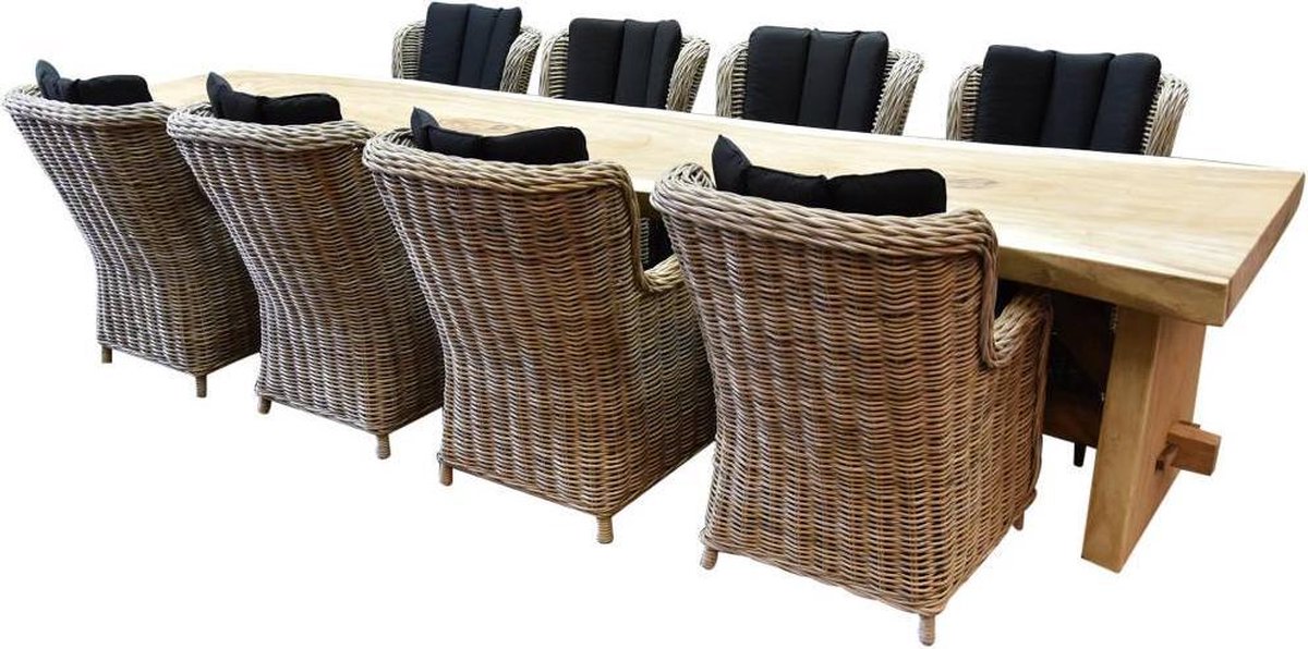 Boomstam Darwin naturel 400x90xH77,5 9-delig - bladdikte 10 cm geschoord