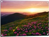 Tuinposter – Zonsondergang Verdwijnend achter Gebergte vol Paarse Bloemen - 80x60 cm Foto op Tuinposter (wanddecoratie voor buiten en binnen)