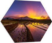 PVC Schuimplaat Hexagon - Zonsopkomst achter Berg bij de Indonesische Rijstenvelden - 70x60.9 cm Foto op Hexagon (Met Ophangsysteem)