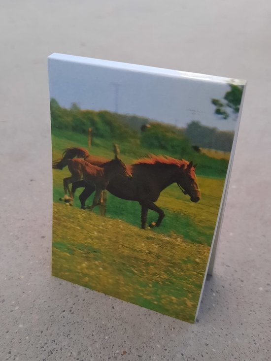 Tekenblok mini