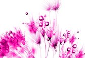 Fotobehang Flowers  | DEUR - 211cm x 90cm | 130g/m2 Vlies