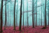 Fotobehang Nature Wood Forest | DEUR - 211cm x 90cm | 130g/m2 Vlies
