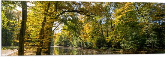 Acrylglas - Zonnestralen door de Bladeren van de Bomen op Sloot - 120x40 cm Foto op Acrylglas (Wanddecoratie op Acrylaat)