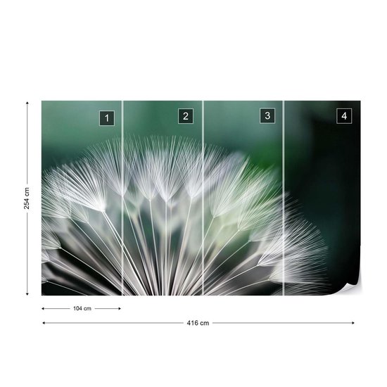 Papier peint photo Fleur de pissenlit Nature | XXXL - 416 cm x 254 cm | Polaire 130g / m2