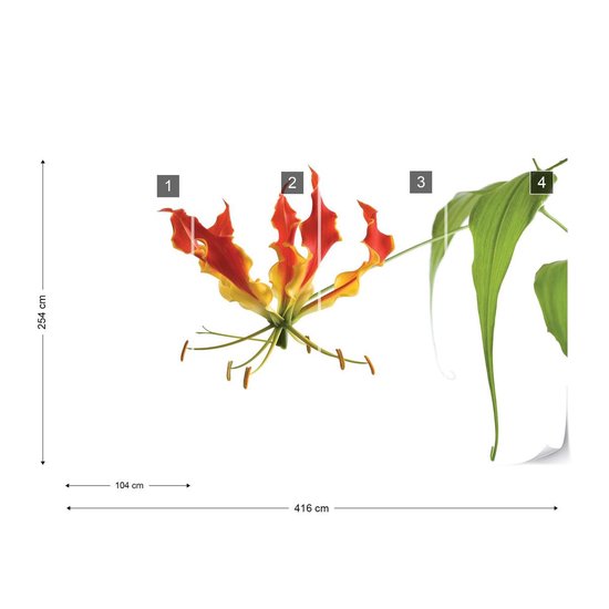 Papier peint Fleurs Forêt Nature | XXXL - 416 cm x 254 cm | Polaire 130g / m2