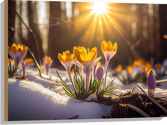 Hout - Zonnestralen op Gele Bloeiende Krokusbloemen in Bos - 80x60 cm - 9 mm dik - Foto op Hout (Met Ophangsysteem)