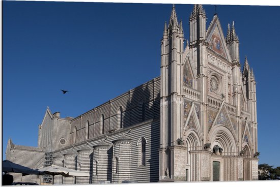 Dibond - Zijaanzicht van Vogel boven Kathedraal van Orvieto onder Blauwe Lucht in Italië - 90x60 cm Foto op Aluminium (Met Ophangsysteem)