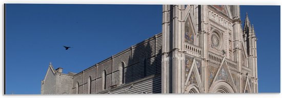 Dibond - Zijaanzicht van Vogel boven Kathedraal van Orvieto onder Blauwe Lucht in Italië - 60x20 cm Foto op Aluminium (Wanddecoratie van metaal)