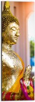 Dibond - Zijaanzicht van Goudkleurige Boeddha - 20x60 cm Foto op Aluminium (Met Ophangsysteem)