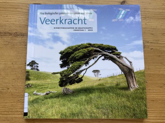 Omslag van Veerkracht