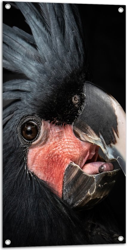 Tuinposter – Zwartkleurige Kaketoe Vogel tegen Zwarte Achtergrond - 50x100 cm Foto op Tuinposter (wanddecoratie voor buiten en binnen)
