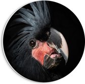 PVC Schuimplaat Muurcirkel - Zwartkleurige Kaketoe Vogel tegen Zwarte Achtergrond - 20x20 cm Foto op Muurcirkel (met ophangsysteem)
